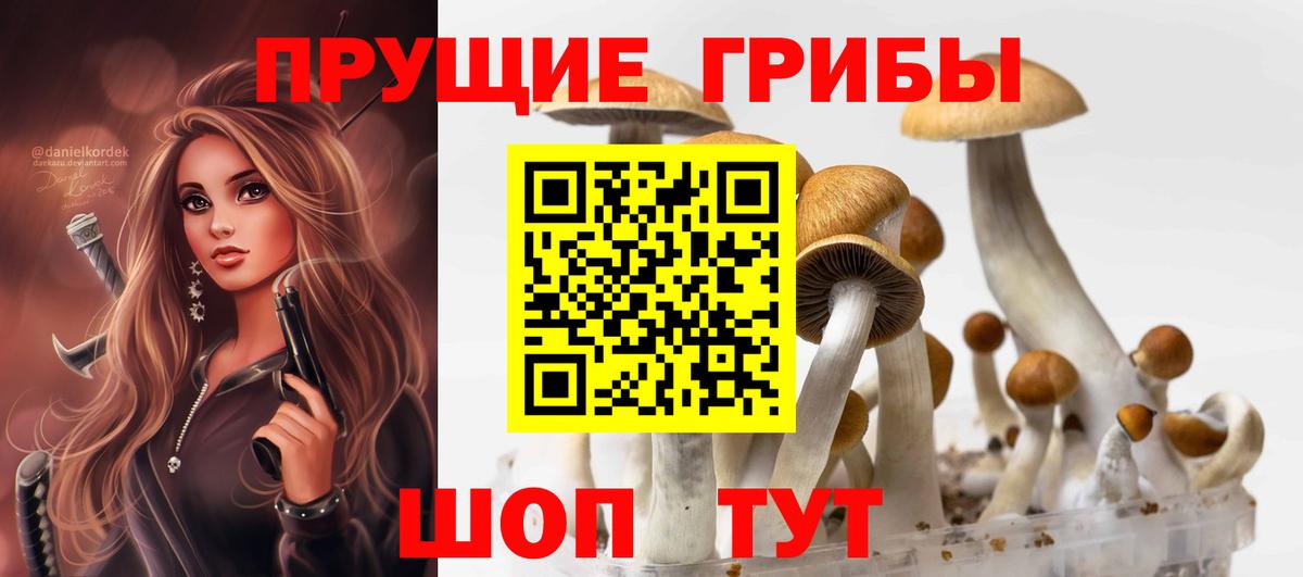 Псилоцибиновые грибы Cubensis Борисоглебск